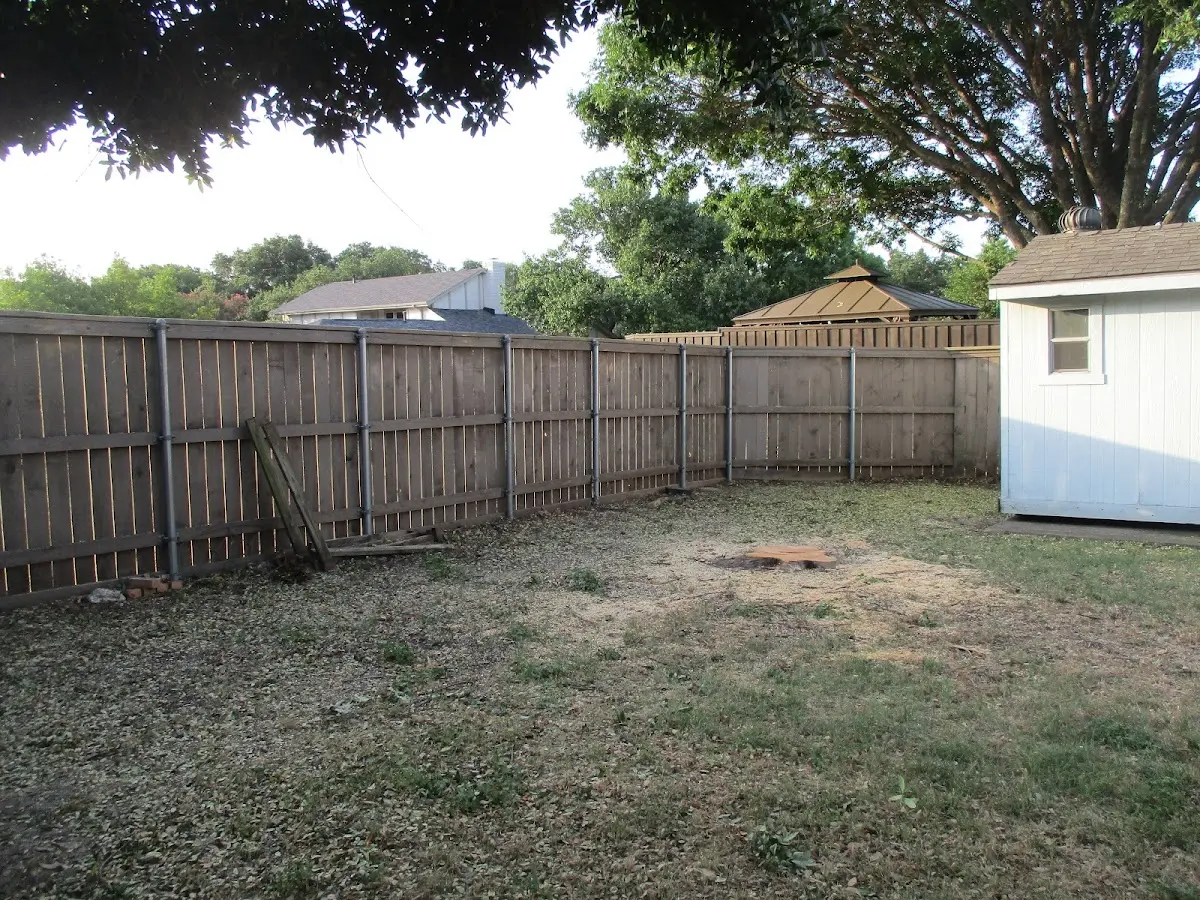 Cleared yard after professional tree removal in Rivesville