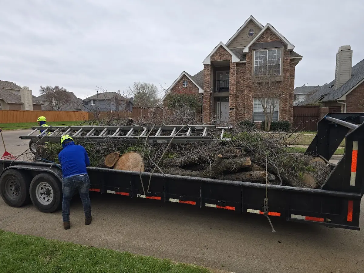 Expert Crown Reduction with proper safety equipment in Rivesville